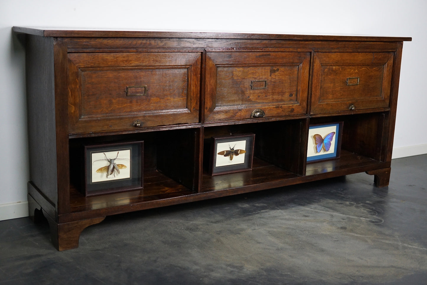 Antique French Oak Apothecary / Filing Cabinet Folding Doors, Early 20th Century