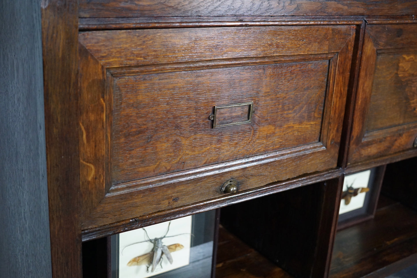 Antique French Oak Apothecary / Filing Cabinet Folding Doors, Early 20th Century